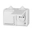 5518-2029 H Double socket outlet with earthing pins, with hinged lids, IP 44 ; 5518-2029 H thumbnail 32