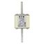 Fuse-link, high speed, 900 A, AC 550 V, DIN 1, 53 x 69 x 108 mm, aR, DIN, IEC, single indicator thumbnail 15