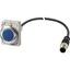 Indicator light, Flat, Cable (black) with M12A plug, 4 pole, 1 m, Lens Blue, LED Blue, 24 V AC/DC thumbnail 2