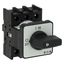 On-Off switch, P1, 40 A, flush mounting, 3 pole, with black thumb grip and front plate thumbnail 20