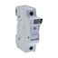 Fuse-holder, LV, 30 A, AC 600 V, 10 x 38 mm, CC, 1P, UL, indicating, DIN rail mount thumbnail 12