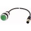 Pushbutton, Flat, momentary, 1 N/O, Cable (black) with M12A plug, 4 pole, 0.2 m, green, Blank, Bezel: titanium thumbnail 1