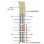 4-channel digital input 24 VDC 3 ms - thumbnail 3