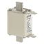 Fuse-link, high speed, 160 A, AC 660 V, DIN 00, 30 x 60 x 78 mm, aR, DIN, IEC, single indicator thumbnail 9