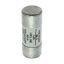 House service fuse-link, LV, 40 A, AC 415 V, BS system C type II, 23 x 57 mm, gL/gG, BS thumbnail 17