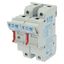 Fuse-holder, low voltage, 50 A, AC 690 V, 14 x 51 mm, 1P, IEC, with indicator thumbnail 5