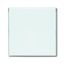 1576 CN-84 CoverPlates (partly incl. Insert) future®, Busch-axcent®, solo®; carat® Studio white thumbnail 2