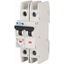 Miniature circuit breaker (MCB), 35 A, 2p, characteristic: B thumbnail 3