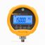 FLUKE-700G27 Pressure Gauge, 20 bar thumbnail 2