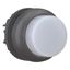 Illuminated pushbutton actuator, RMQ-Titan, Extended, momentary, White, Blank, Bezel: black thumbnail 12