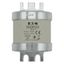 Fuse-link, low voltage, 500 A, AC 660 V, BS88, 74 x 112 mm, gL/gG, BS thumbnail 16