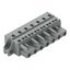 1-conductor female connector CAGE CLAMP® 2.5 mm² gray thumbnail 1