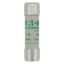 Fuse-link, LV, 1 A, AC 500 V, 10 x 38 mm, aM, IEC thumbnail 7