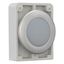 Indicator light, RMQ-Titan, Flat, white, Metal bezel thumbnail 7