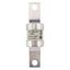 Fuse-link, low voltage, AC 415 V, BS88, 31 x 112 mm, gM, BS thumbnail 25