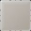 Blank centre plate for snap-on fixing CD594-0PT thumbnail 1