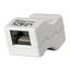 RJ-45 Female to Female, UTP CAT6 (Line Coupler) Extend your unshielded cables! thumbnail 1