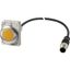 Indicator light, Flat, Cable (black) with M12A plug, 4 pole, 1 m, Lens yellow, LED white, 24 V AC/DC thumbnail 4