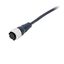 Sensor cable, Smartclick M12 straight socket (female), 4-poles, A code XS5F0151D thumbnail 1