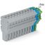 1-conductor female connector Push-in CAGE CLAMP® 4 mm² gray/blue/green thumbnail 2