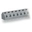 PCB terminal block 2.5 mm² Pin spacing 7.5/7.62 mm gray thumbnail 1