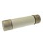 Oil fuse-link, medium voltage, 160 A, AC 3.6 kV, BS2692 F01, 254 x 63.5 mm, back-up, BS, IEC, ESI, with striker thumbnail 5