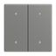 2570-20-803 Rocker for Switch/push button Two-part rocker grey metallic - solo thumbnail 4