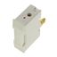 Fuse-holder, low voltage, 32 A, AC 550 V, BS88/F1, 1P, BS thumbnail 7