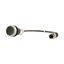 Pushbutton, Flat, momentary, 1 NC, Cable (black) with M12A plug, 4 pole, 0.2 m, black, Blank, Bezel: titanium thumbnail 6