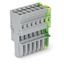 1-conductor female connector CAGE CLAMP® 4 mm² green-yellow/gray thumbnail 1