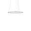 FLATLINER SLIM, 38 W, 2750 lm, 830, white, DALI Pendant luminaires, D  thumbnail 1