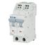 Miniature circuit breaker (MCB) with plug-in terminal, 16 A, 2p, characteristic: C thumbnail 2