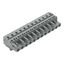 1-conductor female connector CAGE CLAMP® 2.5 mm² gray thumbnail 1