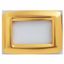 PLAYBUS YOUNG PLATE - IN METALLISEE TECHNOPOLYMER - SATIN FINISHING - 2 GANG - ANTIQUE GOLD - PLAYBUS thumbnail 2