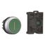 Pushbutton, RMQ-Titan, flush, momentary, 1 NO, green, inscribed, Blister pack for hanging thumbnail 7