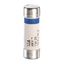 HRC cartridge fuse - cylindrical type gG 10 x 38 - 10 A - with indicator thumbnail 1