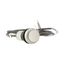 Pushbutton, Flat, momentary, 1 N/O, Cable (black) with non-terminated end, 4 pole, 3.5 m, White, Blank, Bezel: titanium thumbnail 10