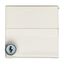 1740 DR-22G CoverPlates (partly incl. Insert) carat® ivory thumbnail 3