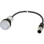 Illuminated pushbutton actuator, Flat, momentary, 1 N/O, Cable (black) with M12A plug, 4 pole, 1 m, LED white, White, Blank, 24 V AC/DC, Bezel: titani thumbnail 5