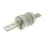 Fuse-link, low voltage, 300 A, AC 600 V, DC 250 V, HRCII-MISC, 59 x 136 mm, gL/gG, CSA thumbnail 6