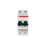 S202-D4 Miniature Circuit Breaker - 2P - D - 4 A thumbnail 1