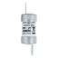 Fuse-link, low voltage, AC 415 V, BS88/F2, 18 x 59 mm, gM, BS thumbnail 16