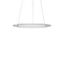 FLATLINER SLIM, 38 W, 2750 lm, 830, white, DALI Pendant luminaires, D  thumbnail 2