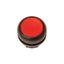 Illuminated pushbutton actuator, RMQ-Titan, Flush, maintained, red, Blank, Bezel: black thumbnail 1