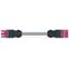 pre-assembled interconnecting cable B2ca Socket/plug pink thumbnail 5