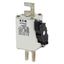 Fuse-link, high speed, 315 A, AC 1250 V, size 1, 53 x 69 x 138 mm, aR, DIN, IEC, single indicator thumbnail 6