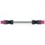 pre-assembled interconnecting cable Eca Socket/plug pink thumbnail 3