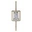 Fuse-link, high speed, 250 A, AC 660 V, compact size 1, 43 x 58 x 140 mm, aR, DIN, IEC, single indicator thumbnail 6