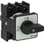 On-Off switch, P1, 40 A, flush mounting, 3 pole, with black thumb grip and front plate thumbnail 2