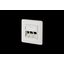 Modul wall outlet flush mounted 3 port unequipped pure white thumbnail 2